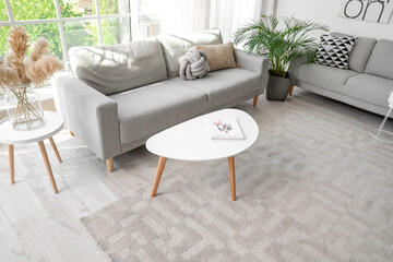 Stylish interior of living room with carpet and sofas