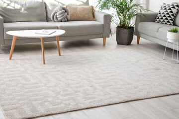 Stylish interior of living room with carpet and sofas
