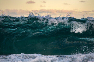 Huge waves at sunset, Sydney Australia