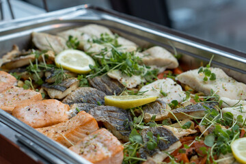 Salmon and fish from a side view.