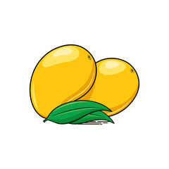 vector illustration of yellow mango