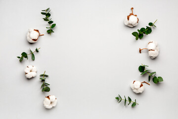 Naklejka na ściany i meble Composition with beautiful cotton flowers on light background