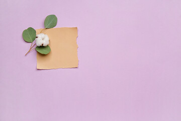 Blank paper, beautiful cotton flower and eucalyptus leaves on color background