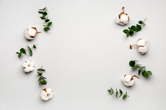 Composition with beautiful cotton flowers on light background