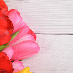 Fototapeta na wymiar A bouquet of fresh, bright, multi-colored tulips on white wooden boards.