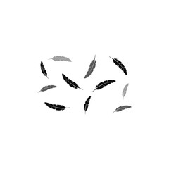 feather background logo