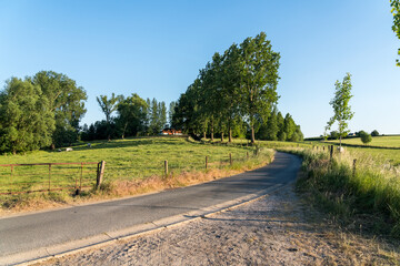 road through  meadows