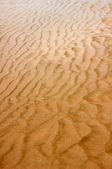 Rippled texture in beautiful golden sand on a beach