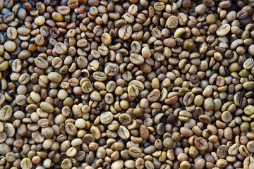  Close up of coffee beans for background                                
