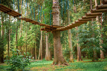 Extreme rope ladder fixed on high tree in adventure park