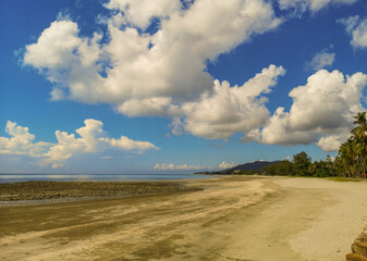 sand dunes on the beach