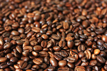Coffee beans on the table