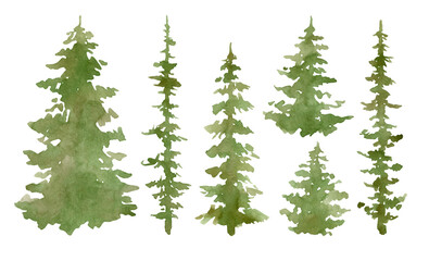 Watercolor set with evergreen trees. Forest elements for landscape creator. Isolated spruce, oaks, pines, fir trees. Coniferous green forest