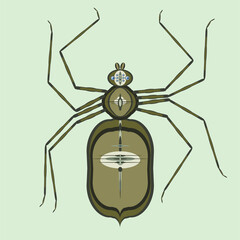 Brown spider drawing is a vector illustration on a light green background.