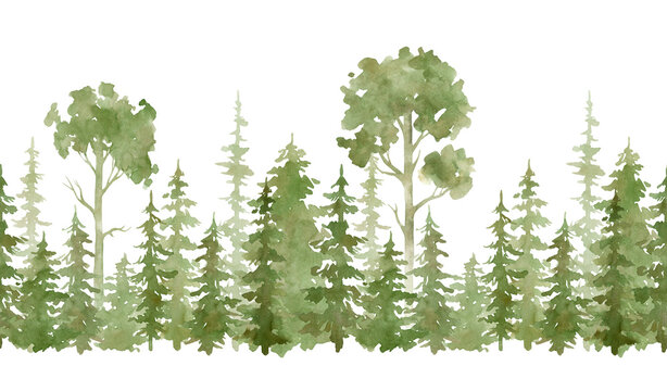 Watercolor Seamless Border With Evergreen Trees. Forest Elements For Landscape Creator. Isolated Spruce, Oaks, Pines, Fir Trees. Coniferous Green Forest