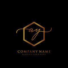 Fototapeta na wymiar Initial letter AY Signature handwriting Logo Template Vector