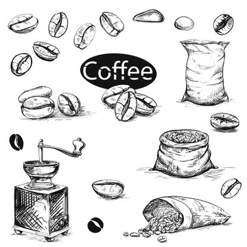 Detailed hand drawn ink black and white illustration set of coffee beans, bags, coffee grinder . sketch. vector.