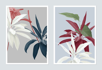Botanical poster design, Cordyline fruticosa Firebrand and Anthurium flowers