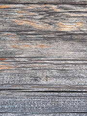 Fototapeta premium old weathered wood planks close up, grey natural background with lots of space for text