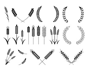 麦　フレーム　素材　セット