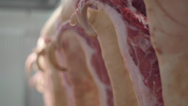 Close up view of hanging pork carcasses in meat processing plant