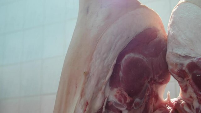 Raw pork hanging on hooks in a meat processing factory. Close up