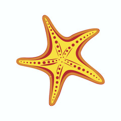Sea star for summer design elements on a white background. Icon of the sea in cartoon style. Summer vector illustration.