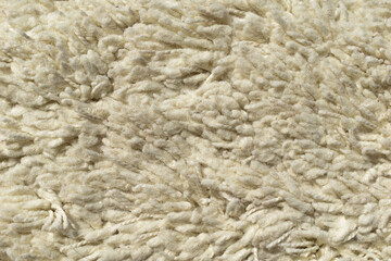 sheep fur texture