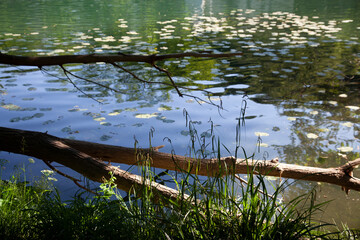 Down by the River Vipava Slovenia