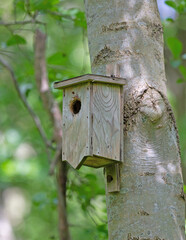 Wooden bird house on tree