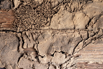 Background wall texture old wood termites, which was damaged.