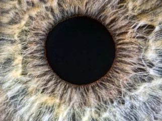 Photo sur Plexiglas Photographie macro macro extrême des yeux jaunes et gris humains
