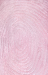 Fototapeta na wymiar human fingerprint macro photo