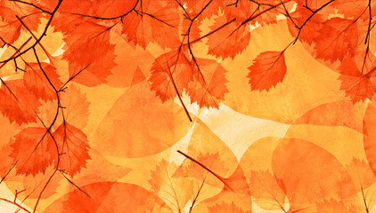 bright orange dry leaves abstract background