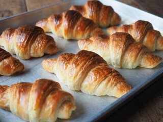 Golden brown homemade croissants in baking tray