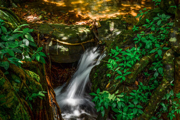 waterfall in the forest