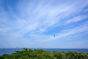 三浦半島、春の海。