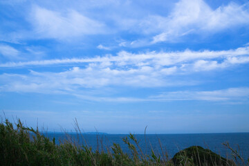 三浦半島、春の海。
