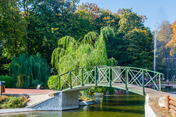 Fototapeta premium A small bridge over the recreational lake in Roman Park, Romania