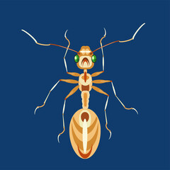 House ant is an urban pest vector illustration. 