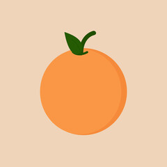 vector illustration of an orange fruit