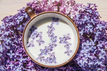 Obraz na płótnie Canvas Cup with milk and small purple lilac flowers