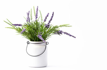 Lavender in white pot on white background