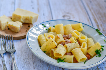  Fresh pasta rigatoni alla carbonara with  cream sauce  , egg, parmesan cheese ,olive oil and black pepper) 