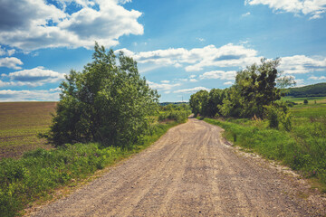 View of beautiful rural landscape on a sunny day. Country dirt road in the fields