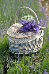 Fototapeta na wymiar Basket with lavender flowers. Aromatherapy.