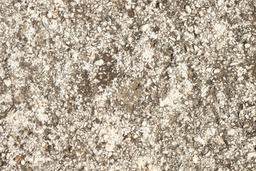 Close up of a lot of different sizes stones that are mixed with cement. The surface of wall, flooring texture and background for web design and architect.