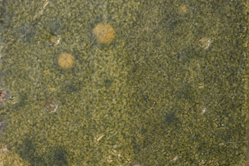 Seamless green abstract dirty textured background of marble tile. Scratch lines over background. Noise and grain. Exterior building structure backdrop. Industry material natural concept.