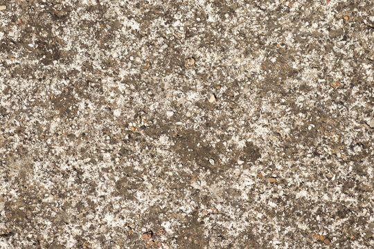 Uneven texture of seamless natural coquina shell rock wall made of sand and seashells. Grungy backdrop. Natural surface with small stones inclusion.