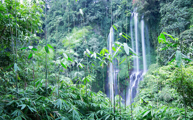 Waterfall called "Sekumpul" in a rainforest on Bali Indonesia